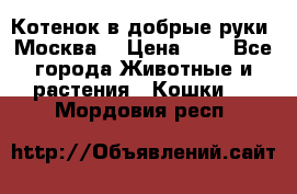 Котенок в добрые руки. Москва. › Цена ­ 5 - Все города Животные и растения » Кошки   . Мордовия респ.